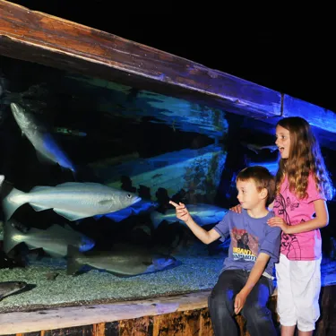 Quayside Area At SEA LIFE