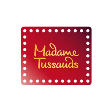 Mt Brand Logo
